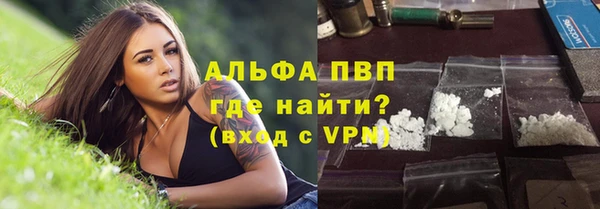 ешки Новодвинск