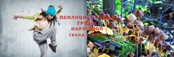 мяу мяу мука Нефтегорск