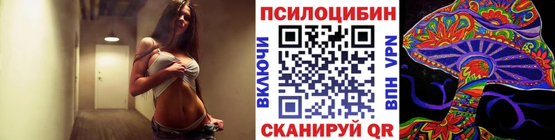 где купить наркоту  Кириллов  Псилоцибиновые грибы прущие грибы 